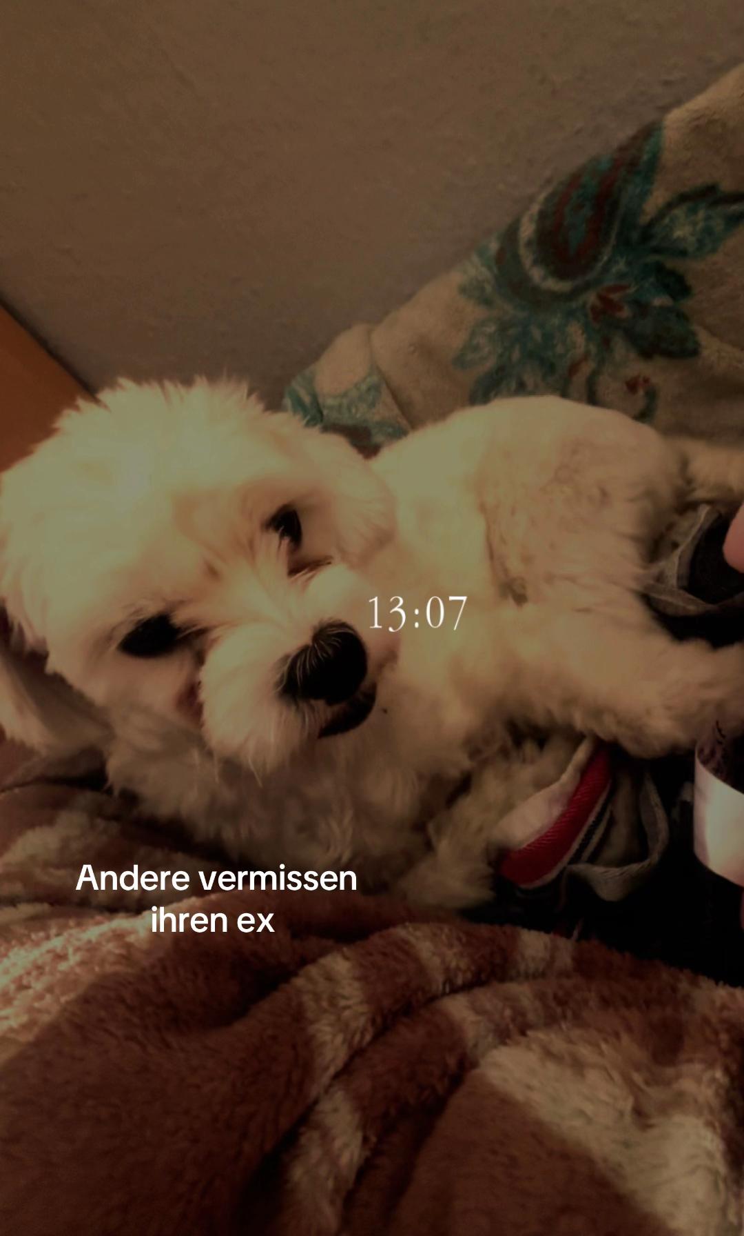 @Malina 🐶🎀🇩🇪