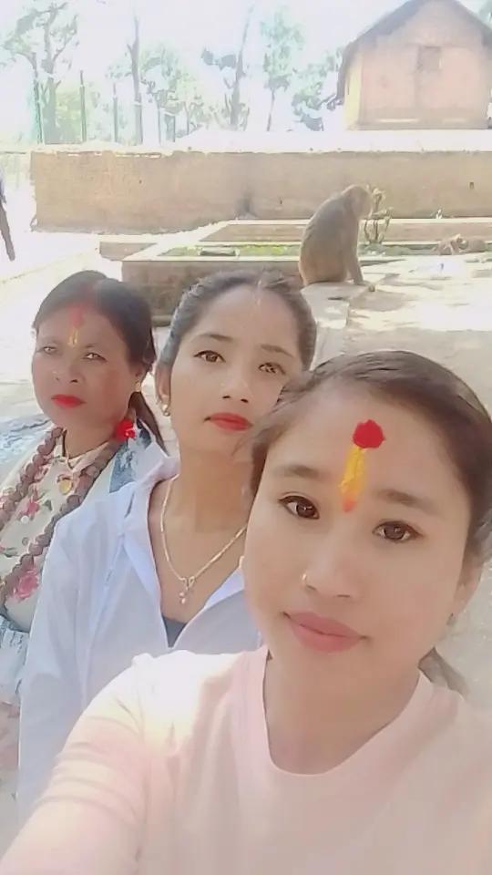 @sumitrachaudhary530