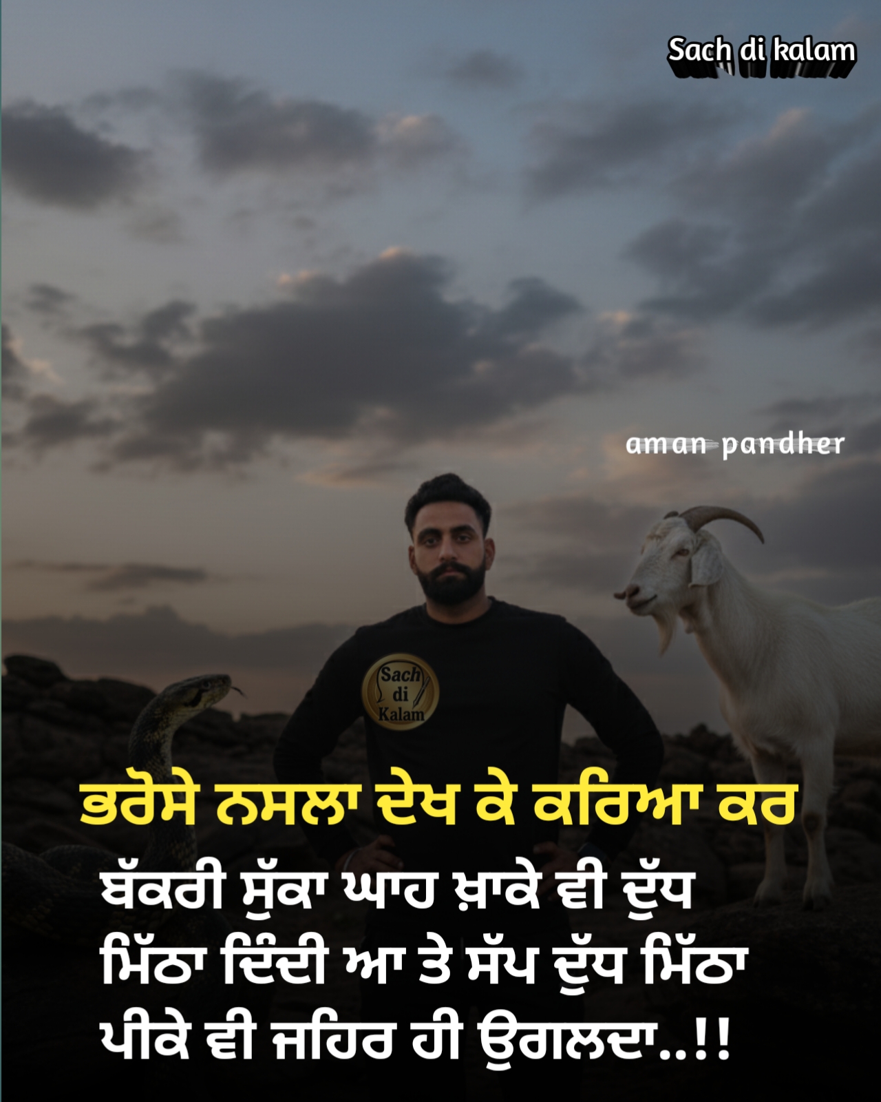 @aman pandher ✍️
