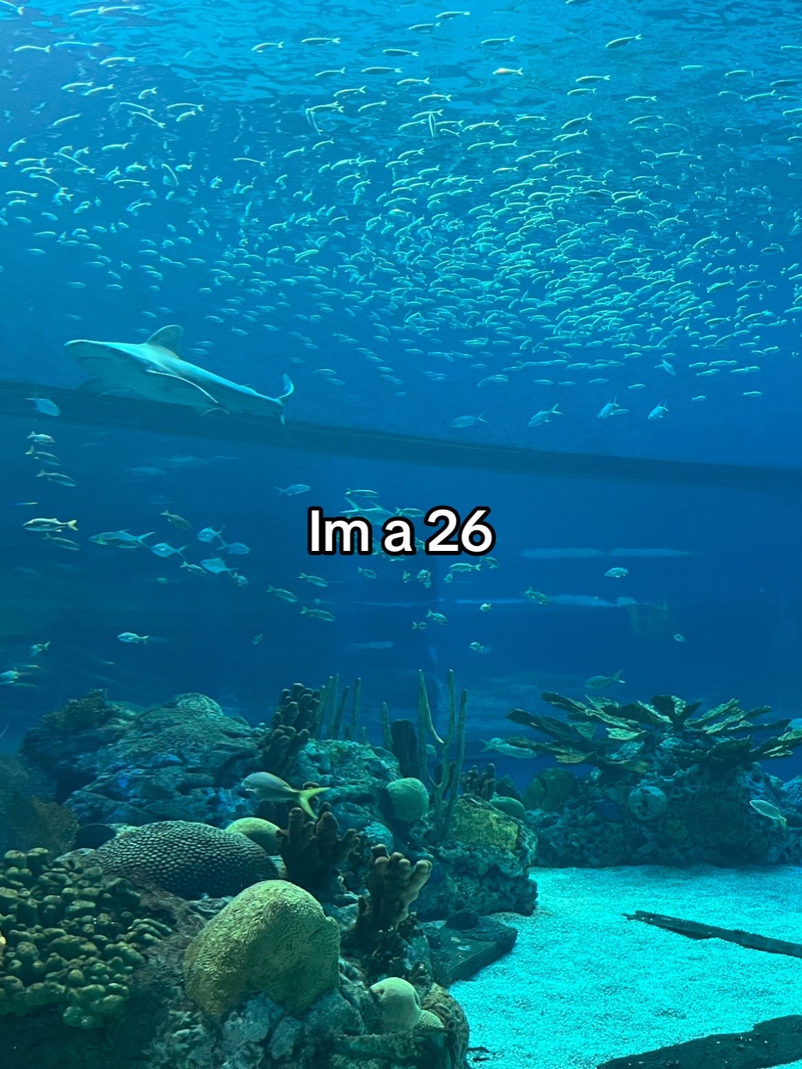 @ᴘᴜᴘᴘʏ🦴