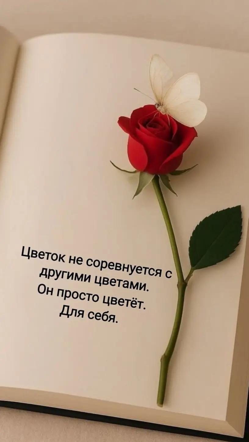 @Nataliia