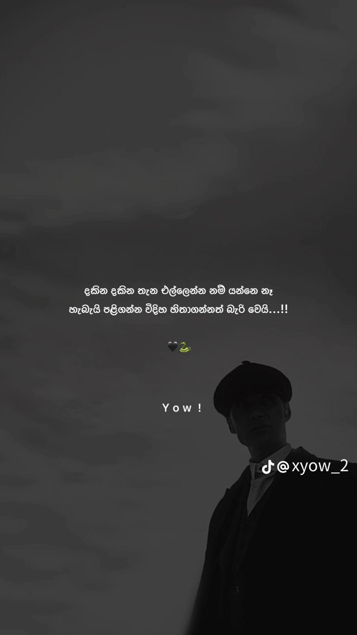 @🤍❤️Ayishuu ❤️🤍