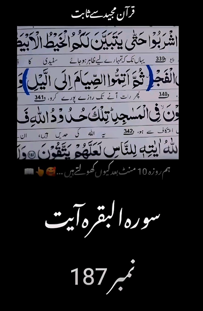 @حــیدر🚩🫀