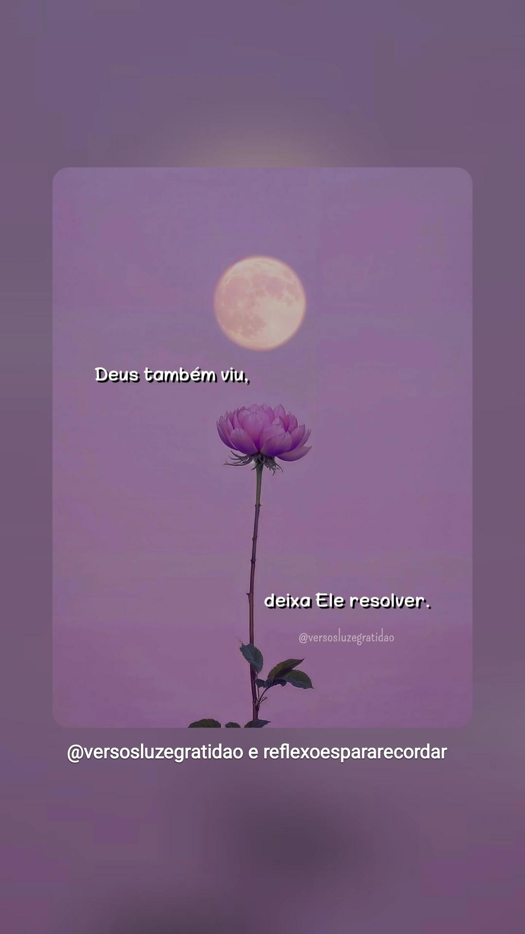 @elenir