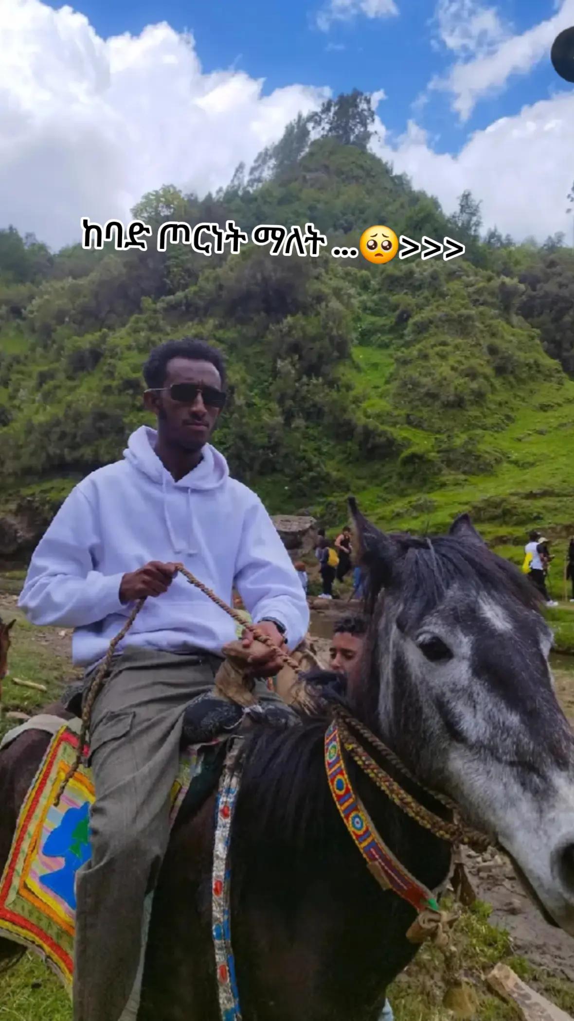 @ጥጋቤ🦁👑