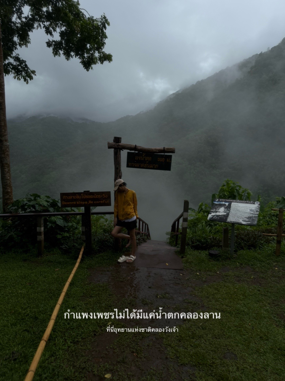 @🏕️แมดอายย📽️
