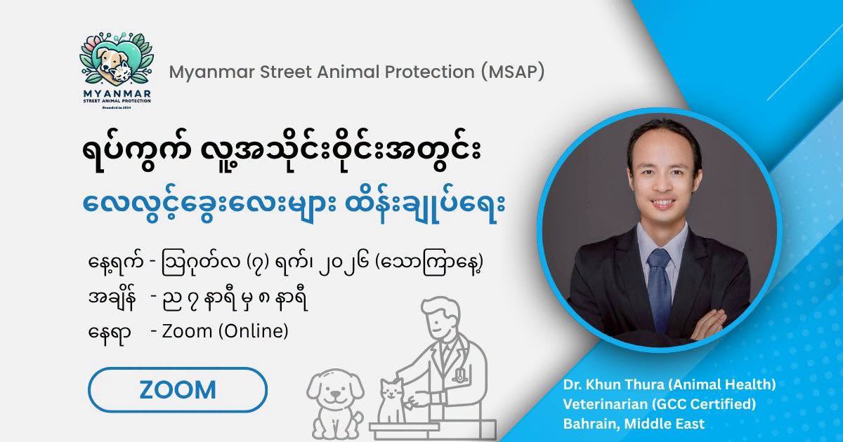 @MyanmarStreetAnimalProtection