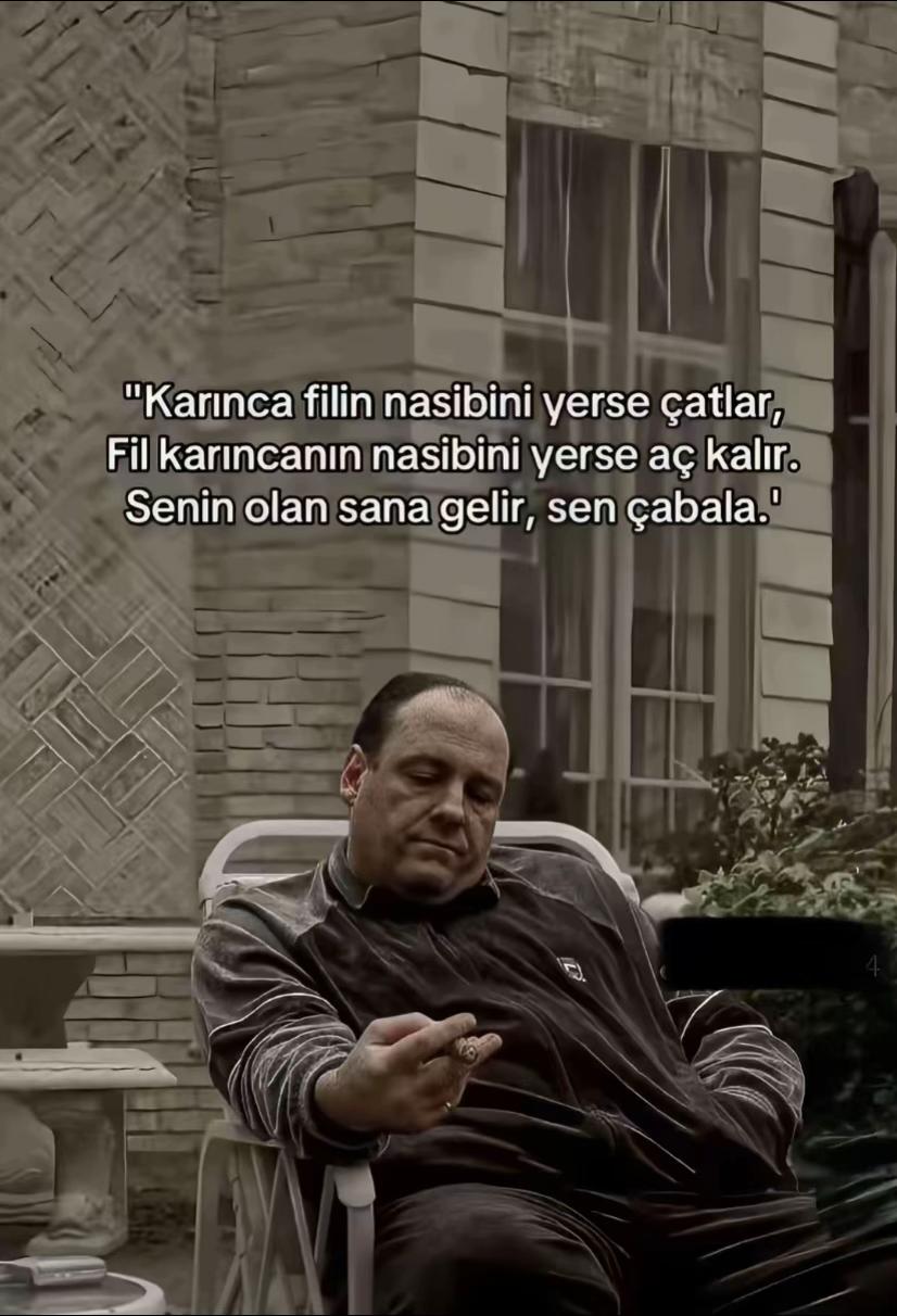 @Muhsin_kurak 