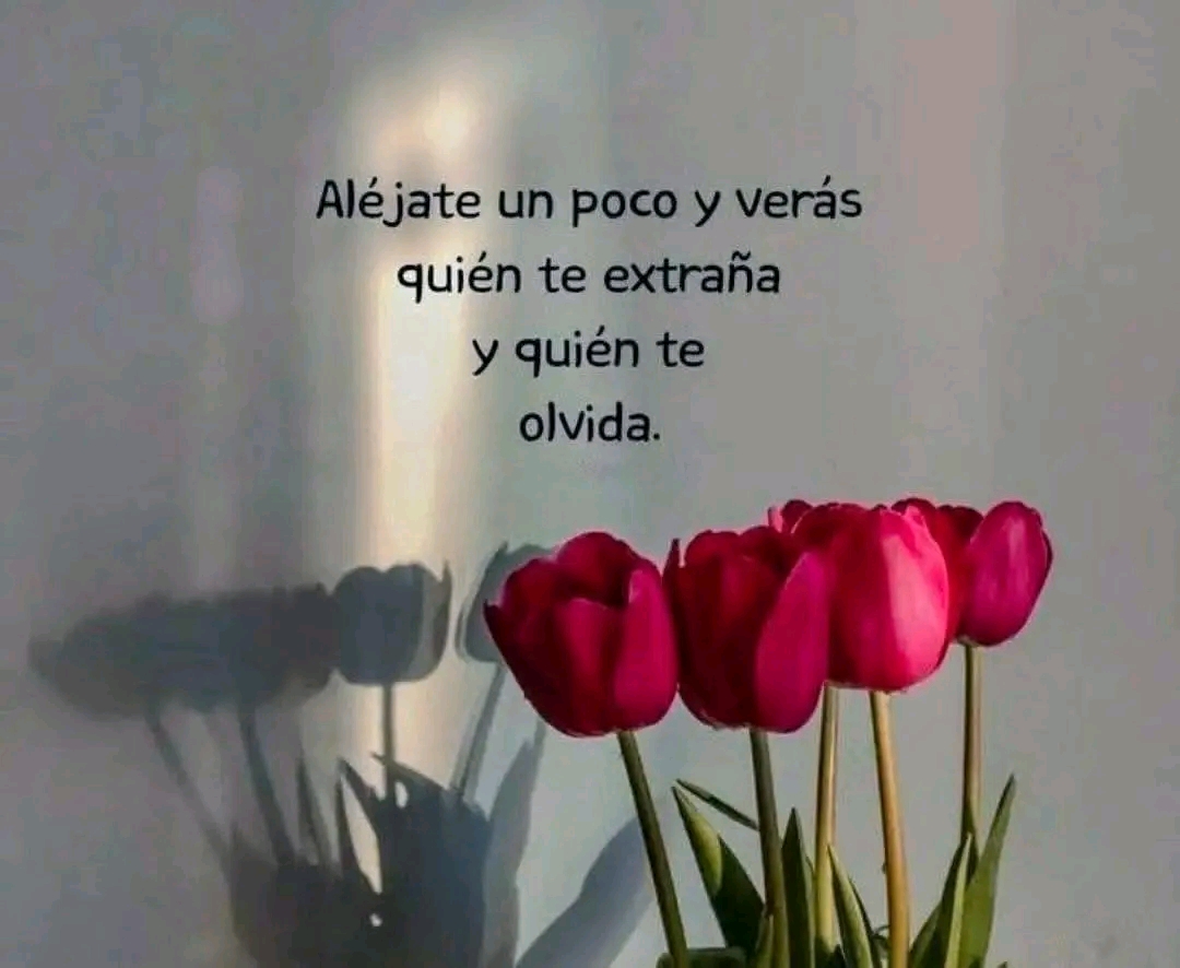 @ana contreras ❤️💋