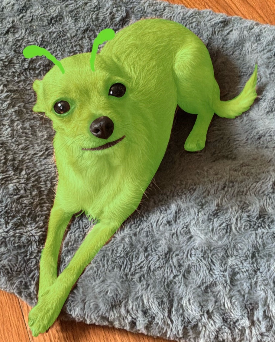 @LilHedghog