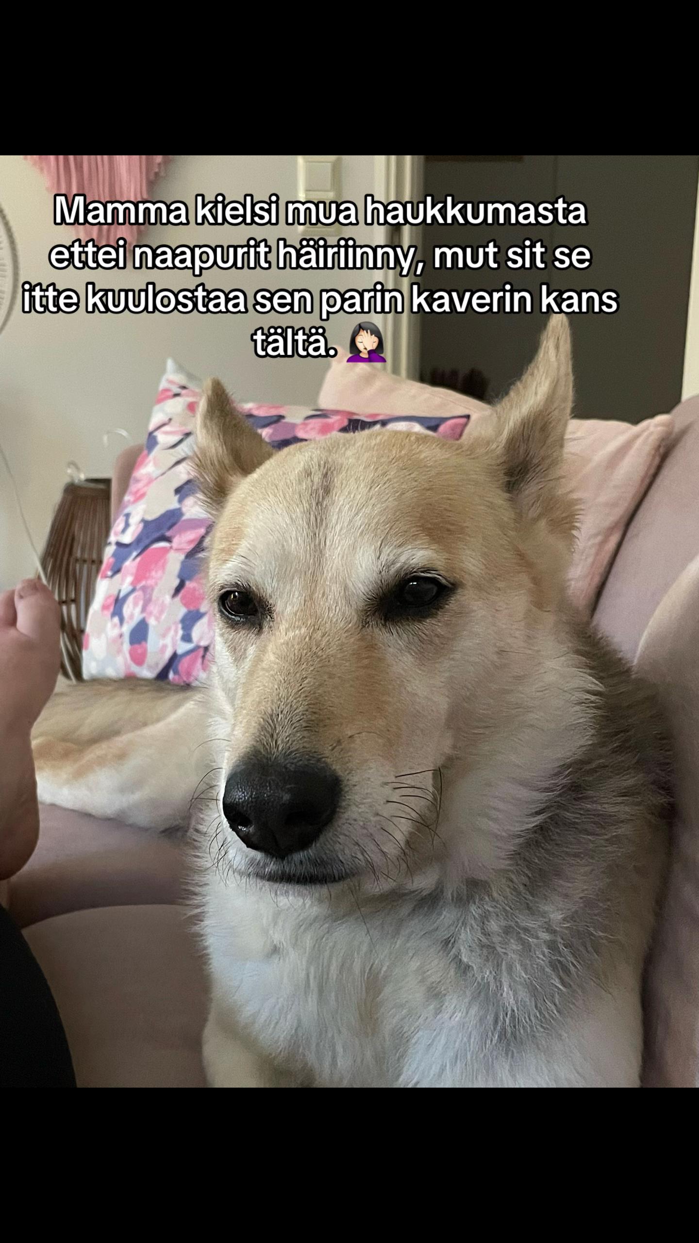 @Mirtsu