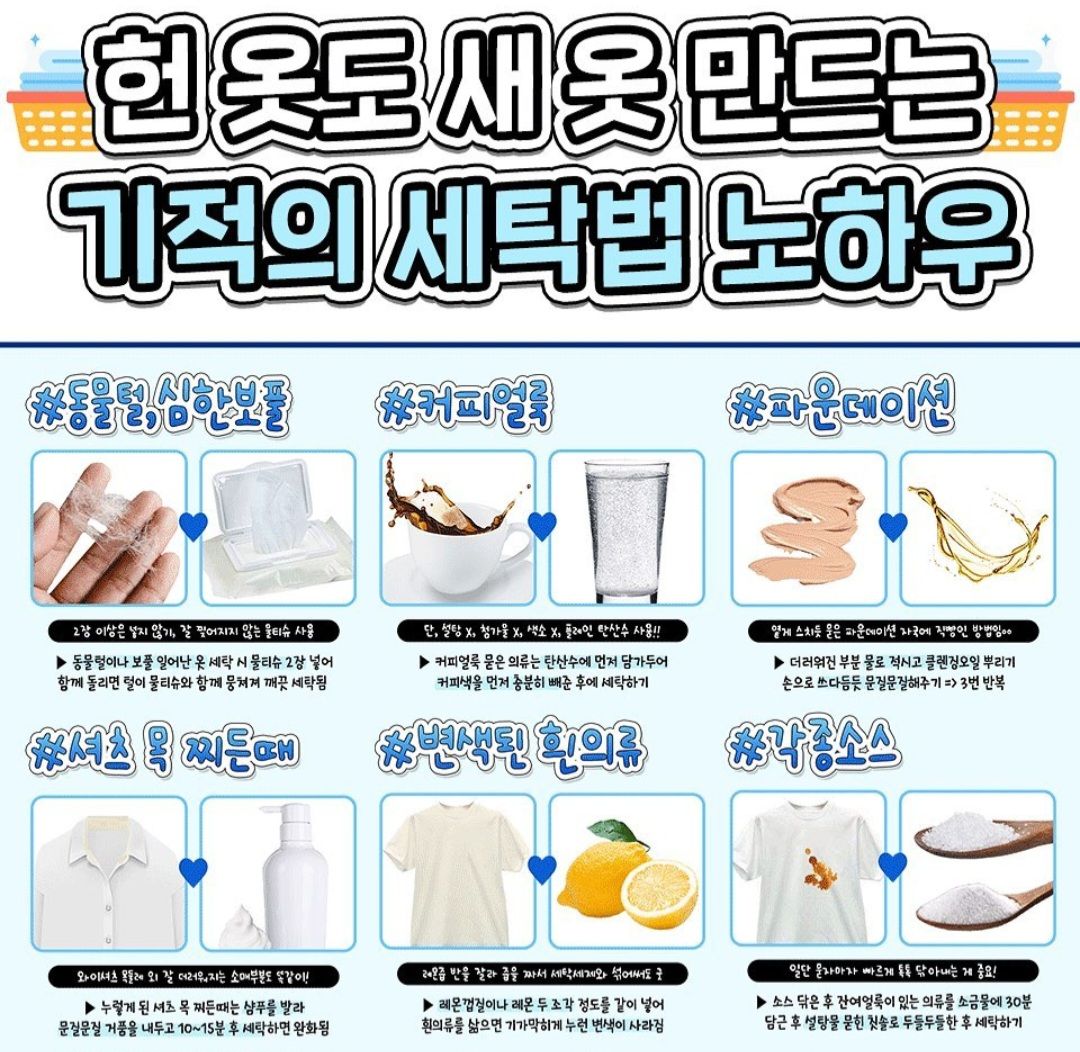 @송이송이쏭쏭이