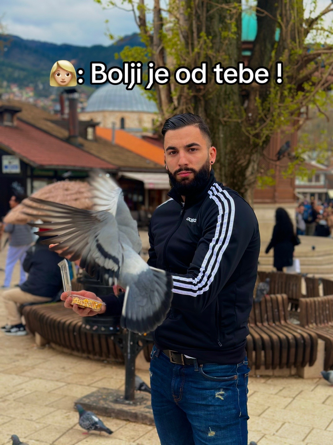 @dino.harbas