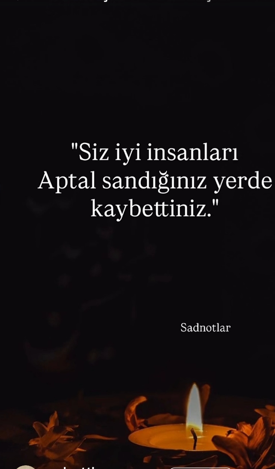 @ayse48