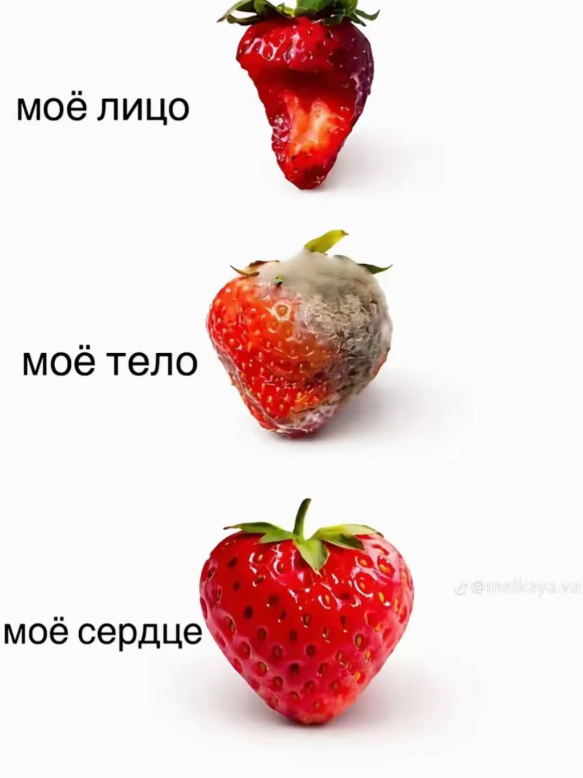 @𝑹.