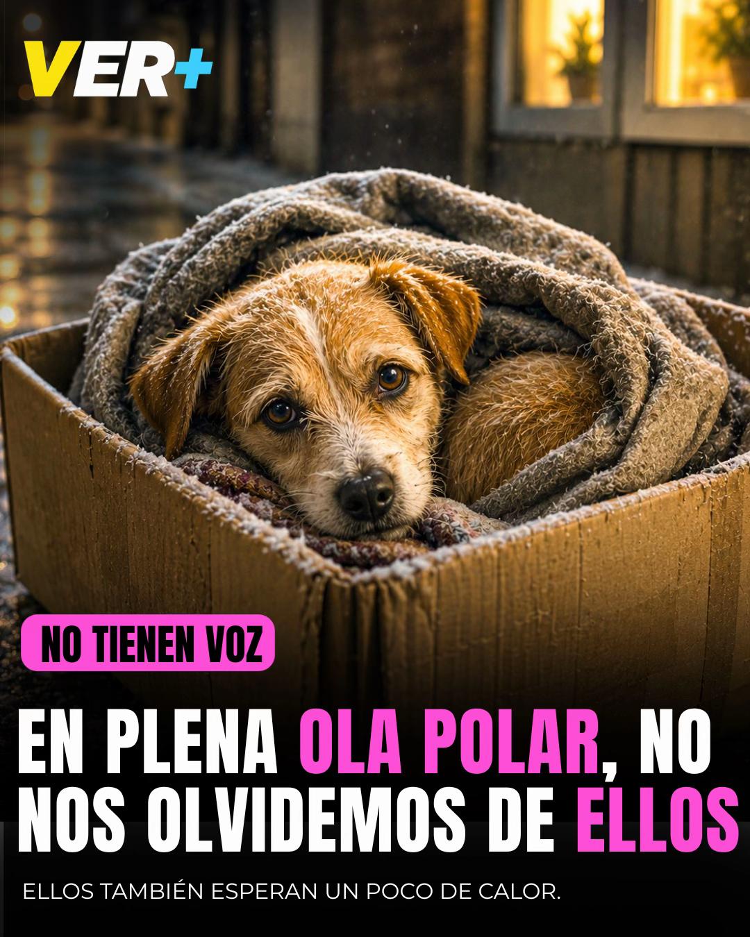 @Ver+