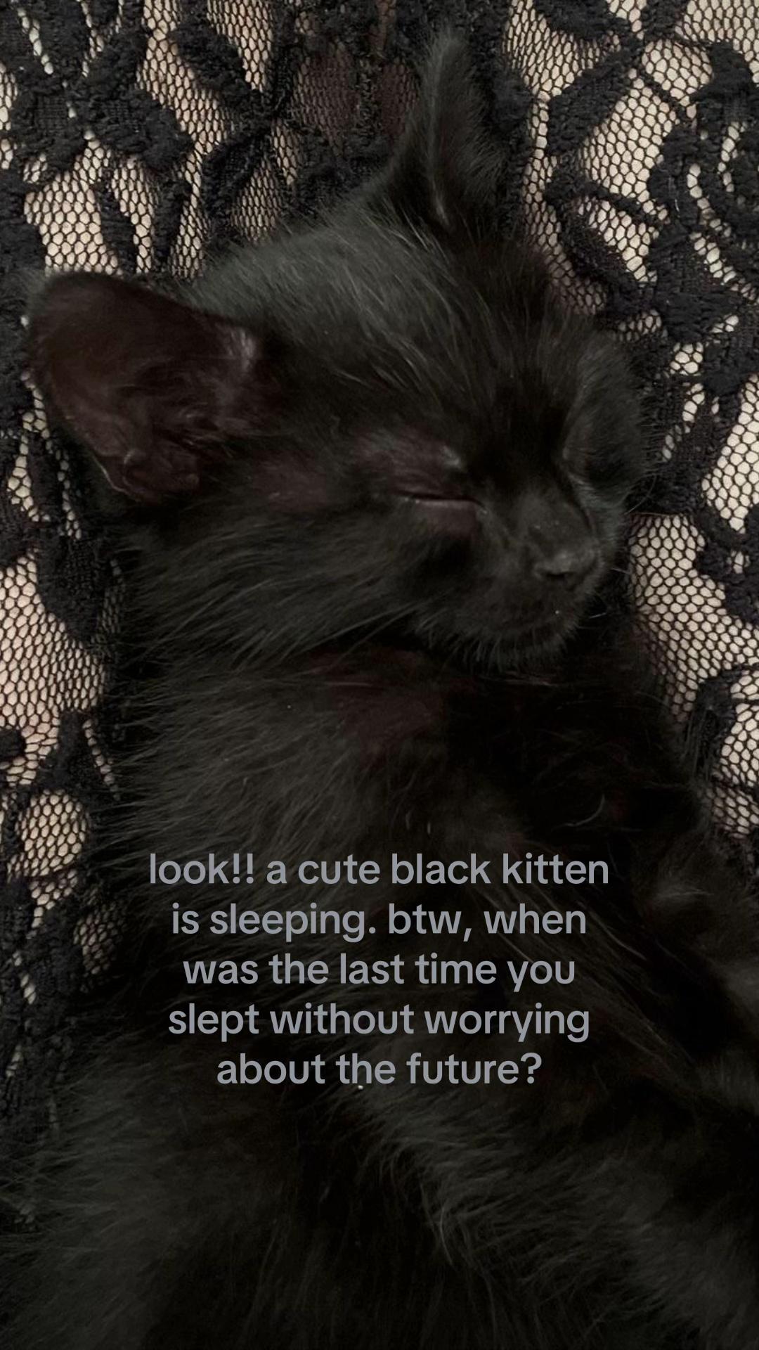 @kllurslfxd