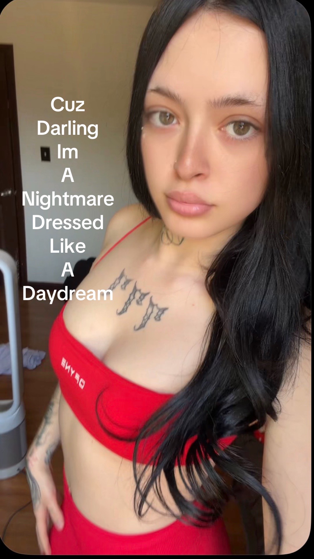 @Aribeenondattt