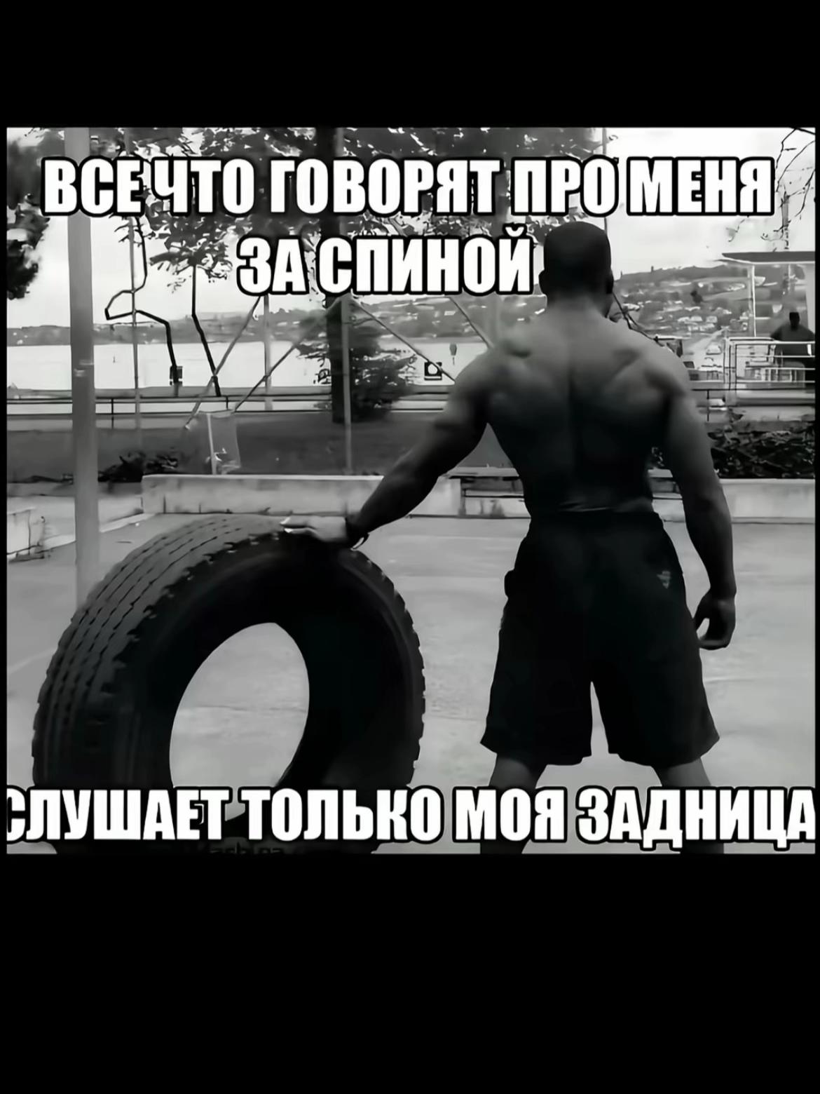 @gymevs