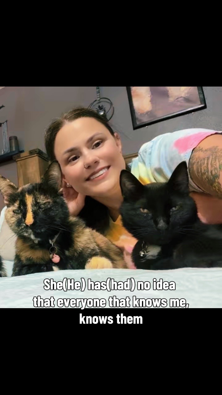 @Katie’s Clutter of Cats 🐈⬛🐈
