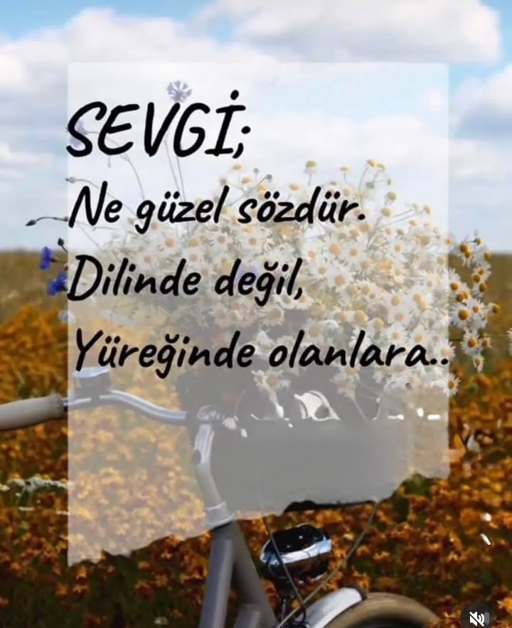 @mecnun