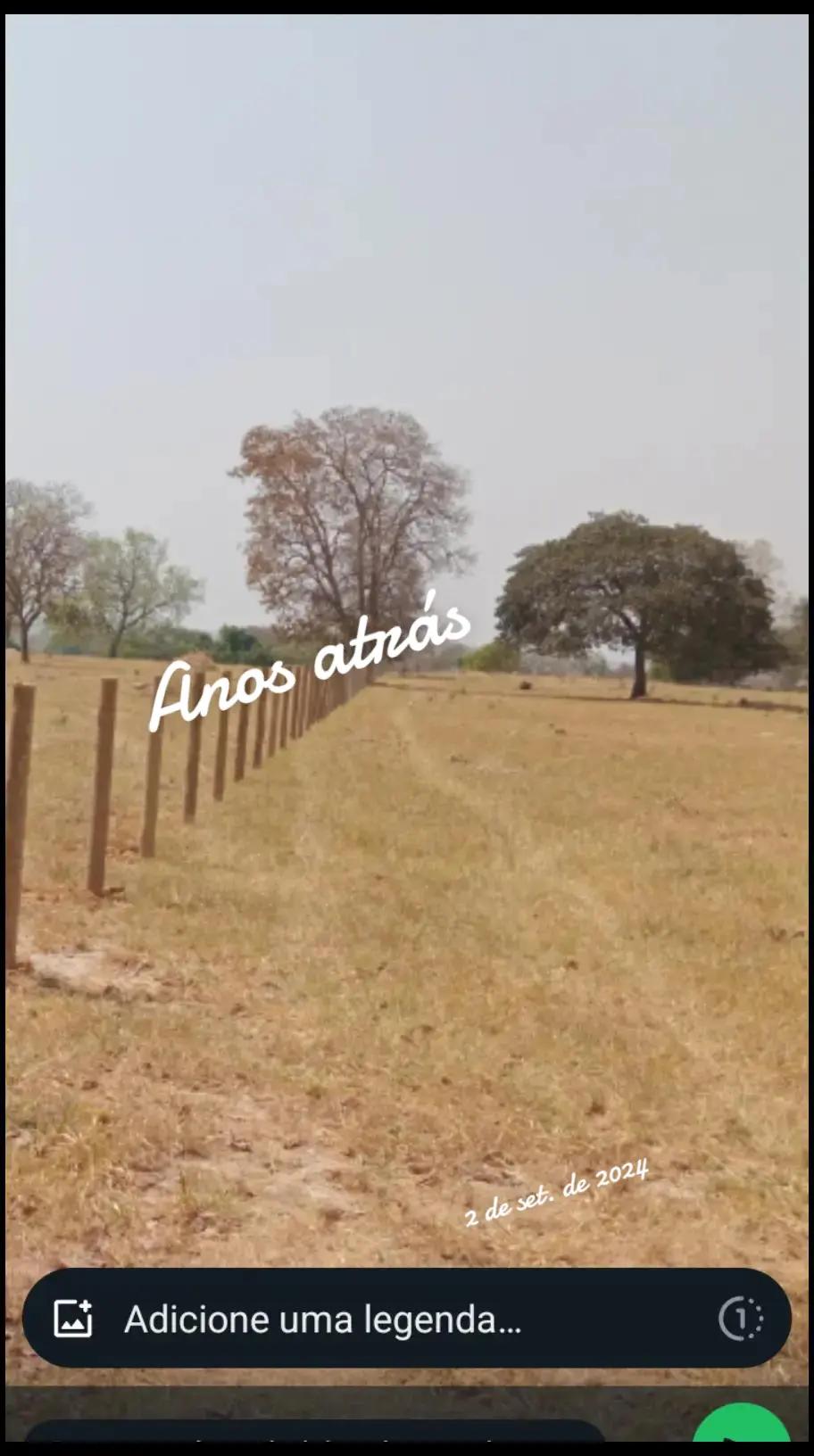 @mario Ferreira