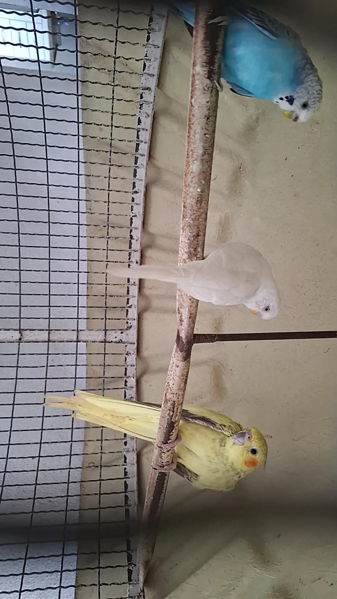@~♡☆Julia☆♡~