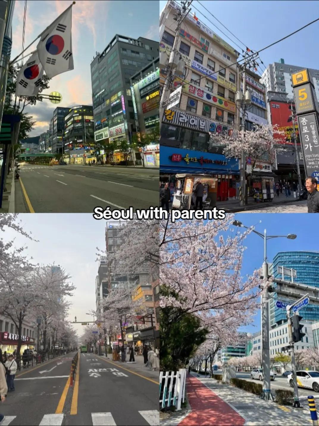 @♡치사 루카사♡