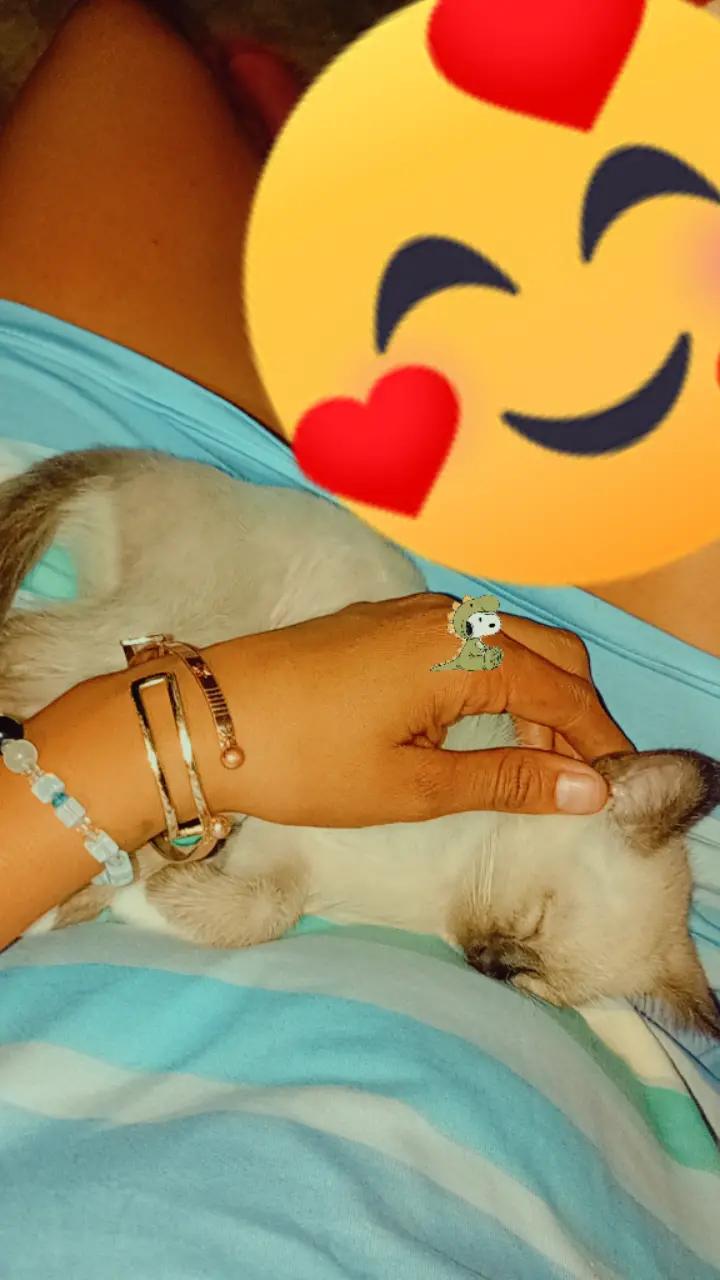 @Cristel Hernández 🥰