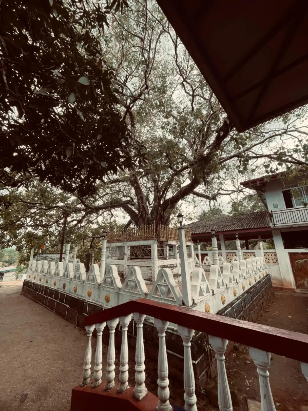 @𝗦𝗮𝗻𝘂𝘄__𝗮𝗮 🍒