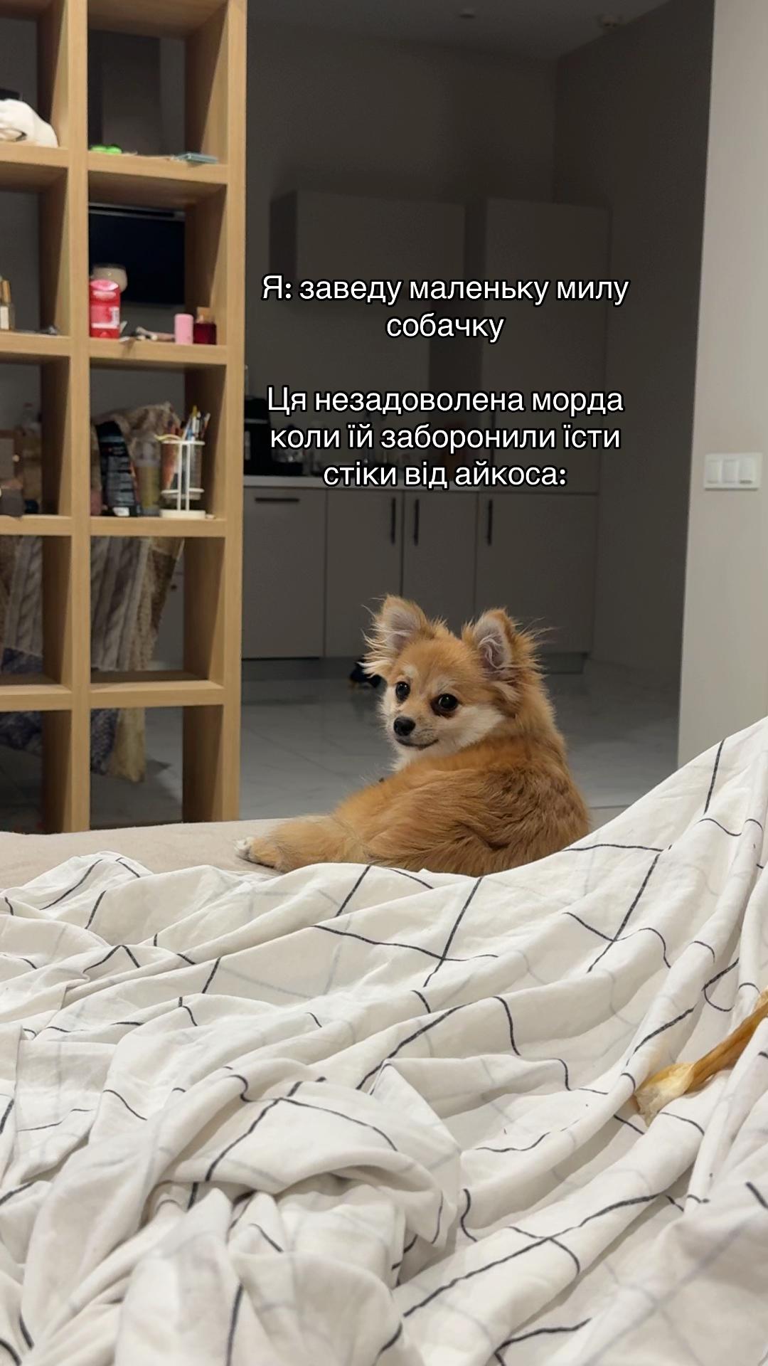@То тут, то там