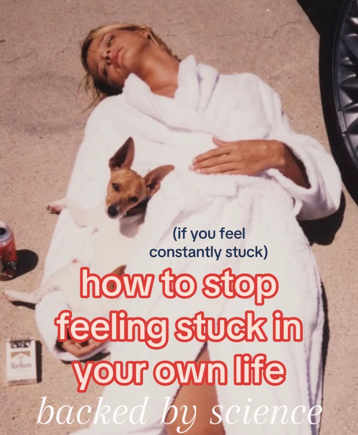@lana.hill