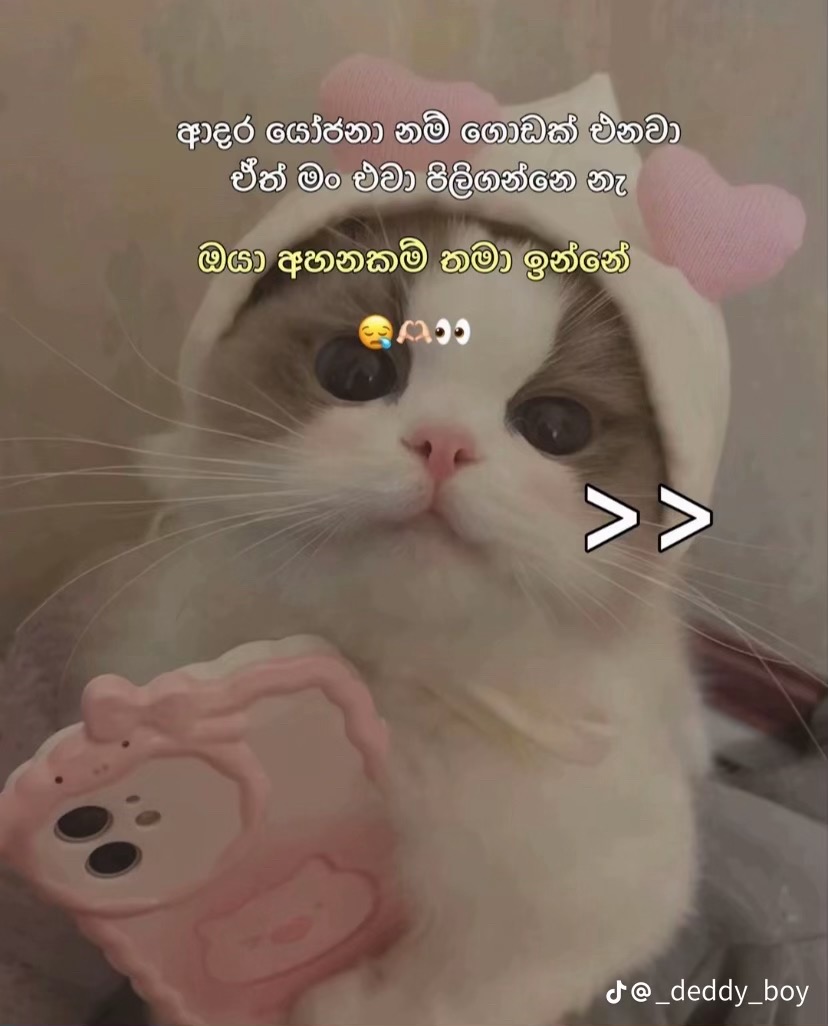 @මල්මී💓🍀