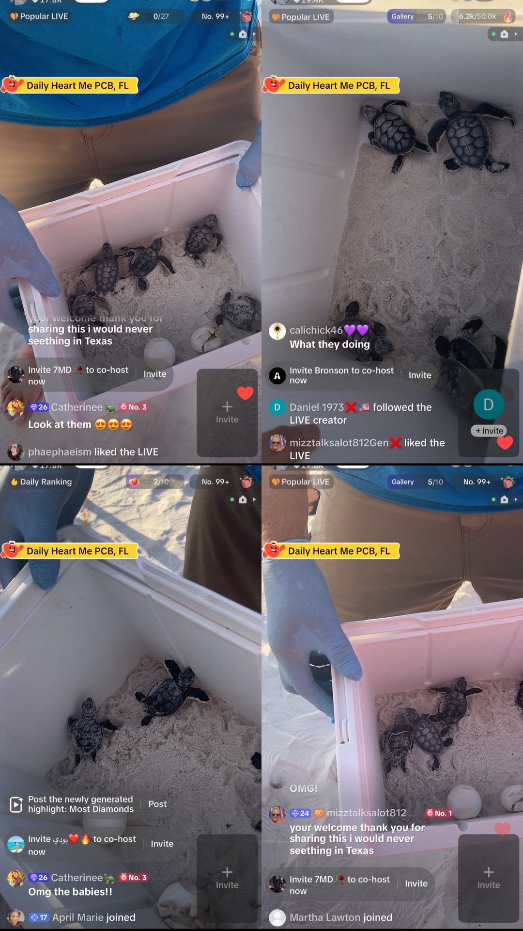 @Jenna Jamm 🐿️💖🐠💙🍓