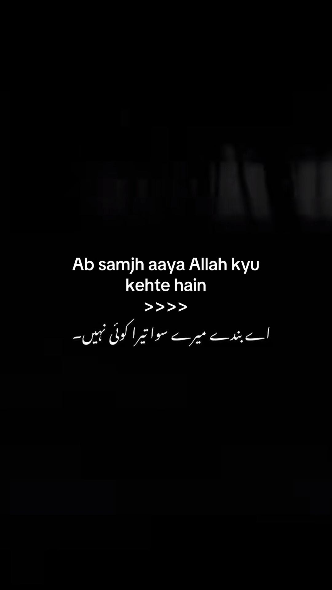 @عمارہ چیمہ🦢