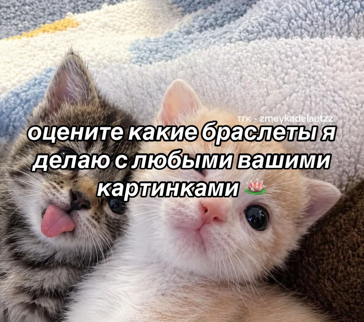 @змейка