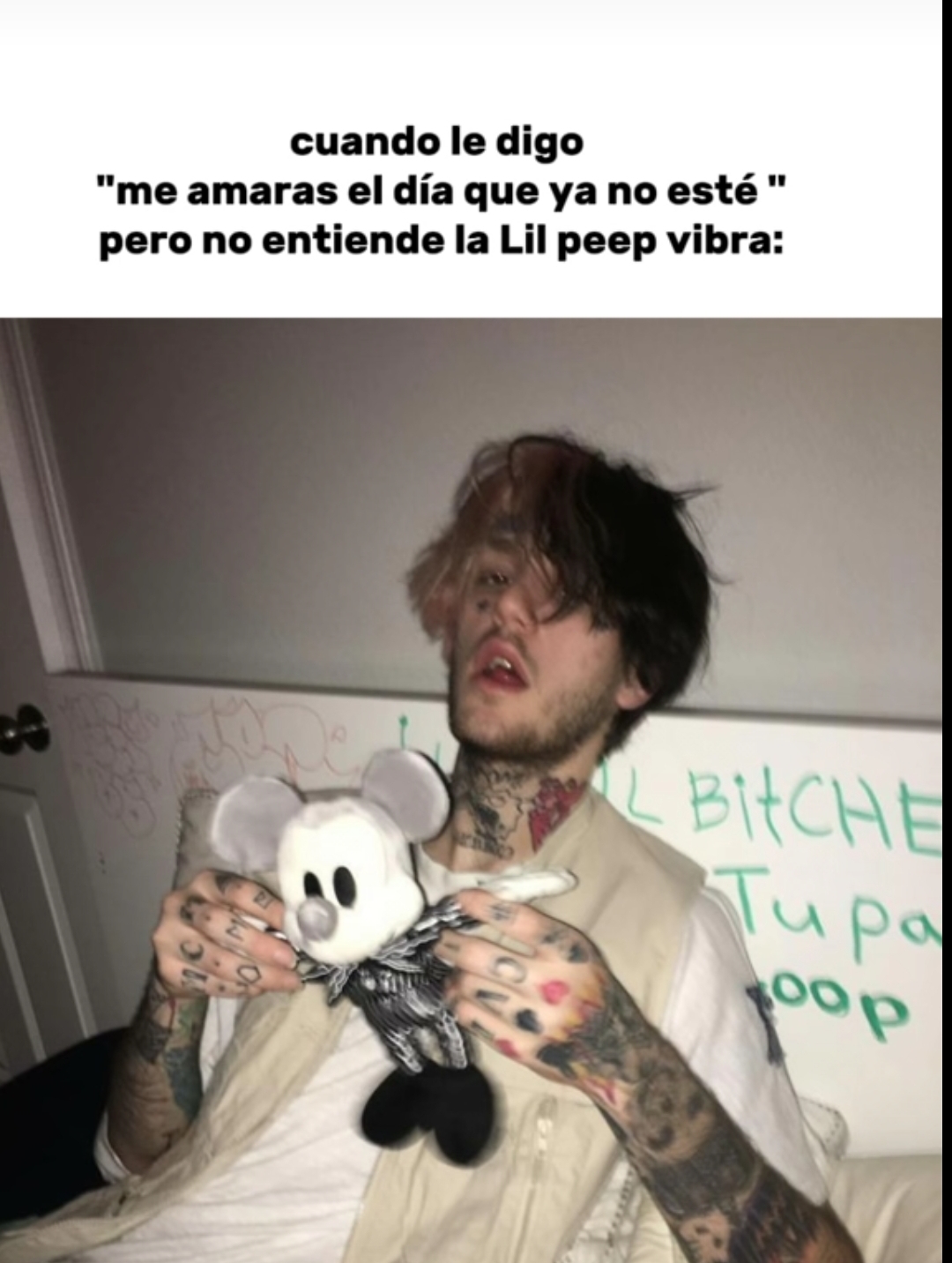 @ALE ⋆.˚꩜ .ᐟ˙⋆