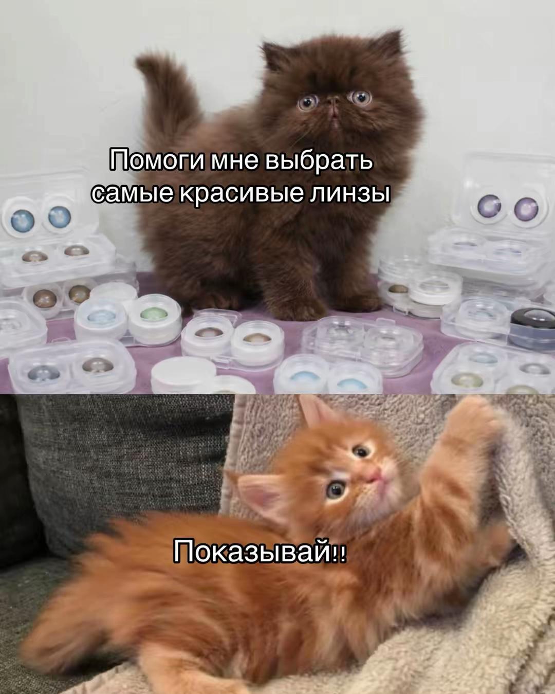 @ТГК: Мелаша