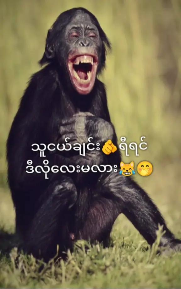 @🥰🙊Heim Htet🥰🐰🐰🏳️🌈🇲🇲