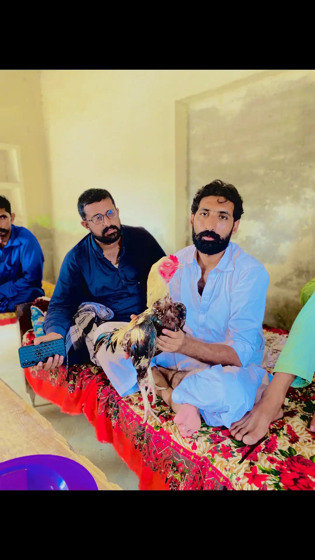 @ملک عاصم سندیلہ