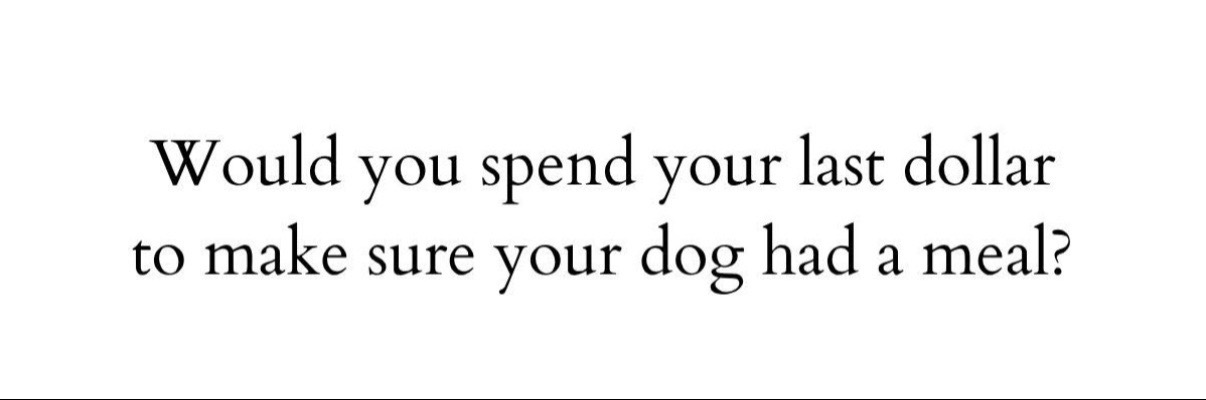 @RobertHouseDoglife