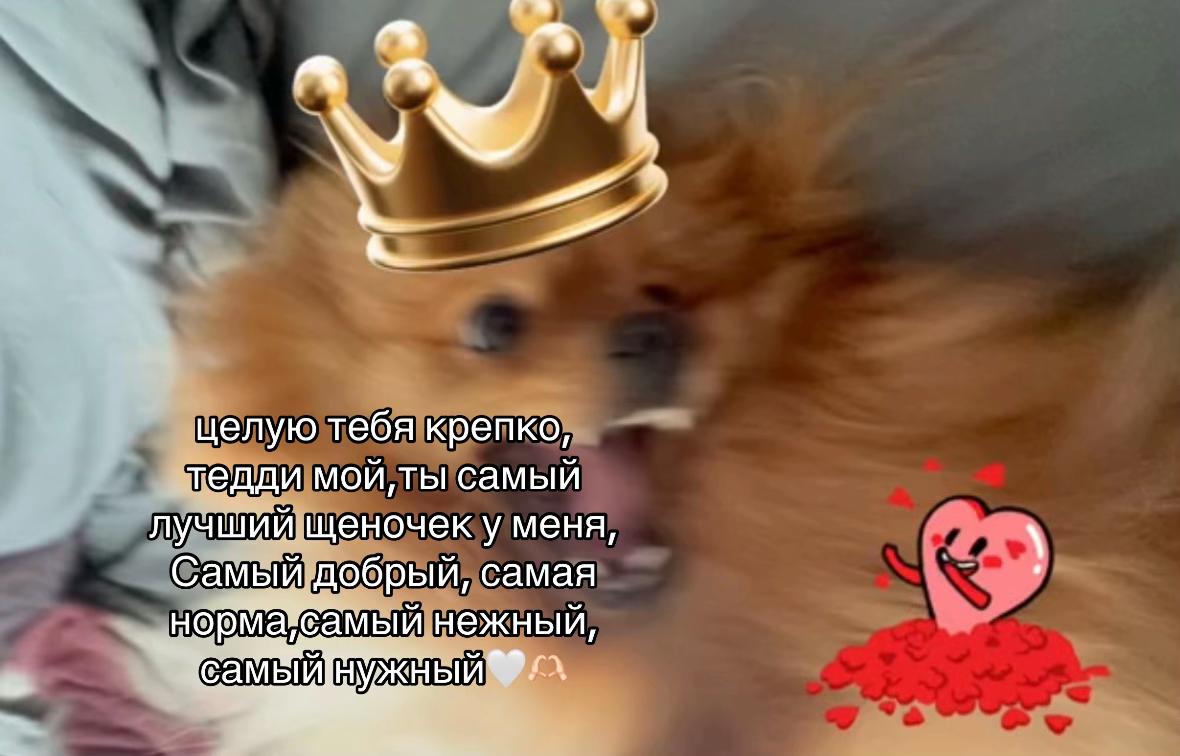 @leqwzs_24