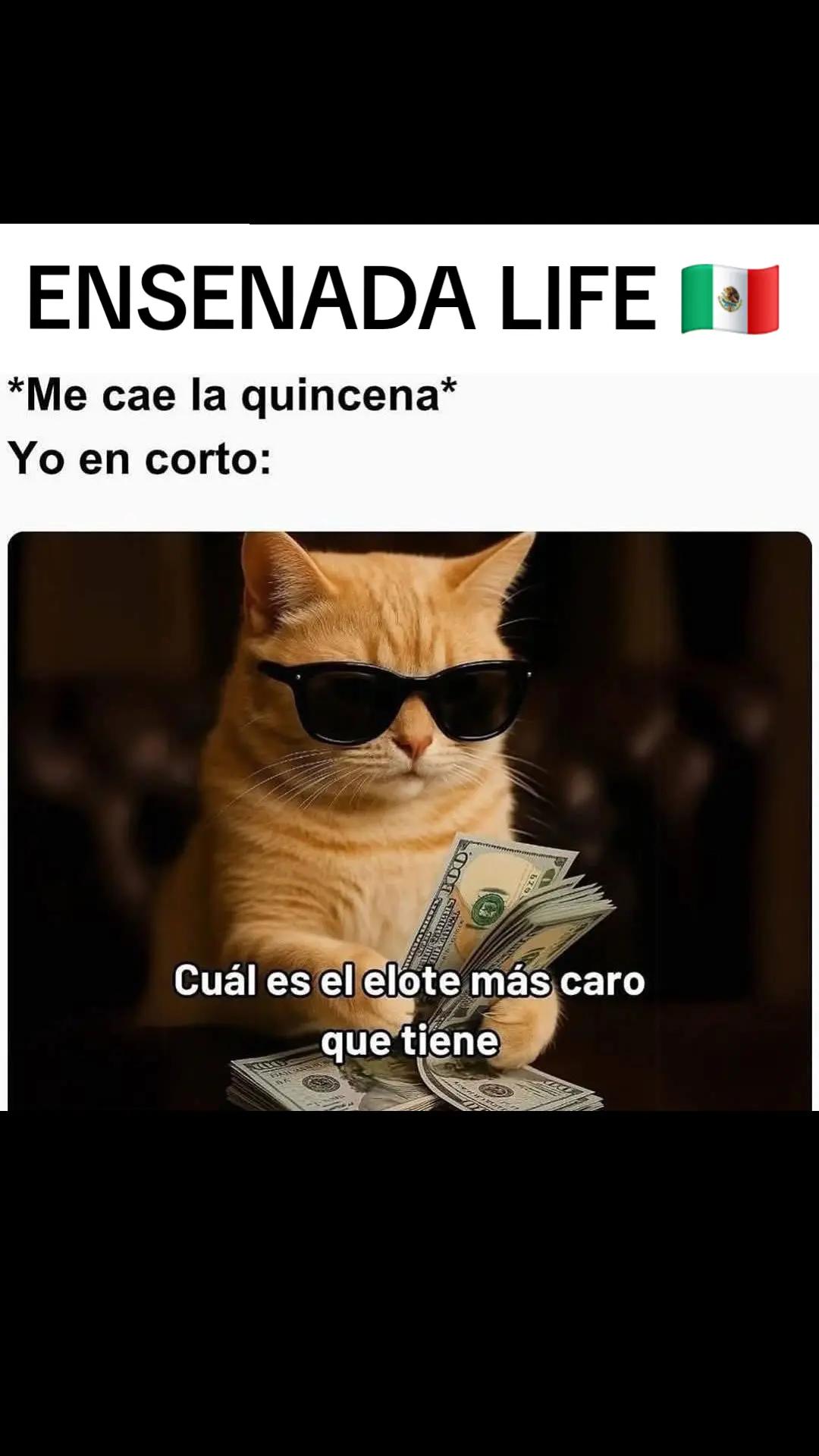 @EL Gallo Salcedo🇲🇽