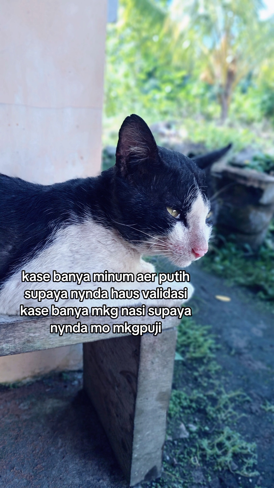 @jastinnih