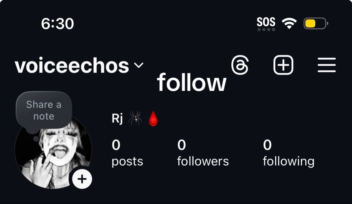 @voiceechoing