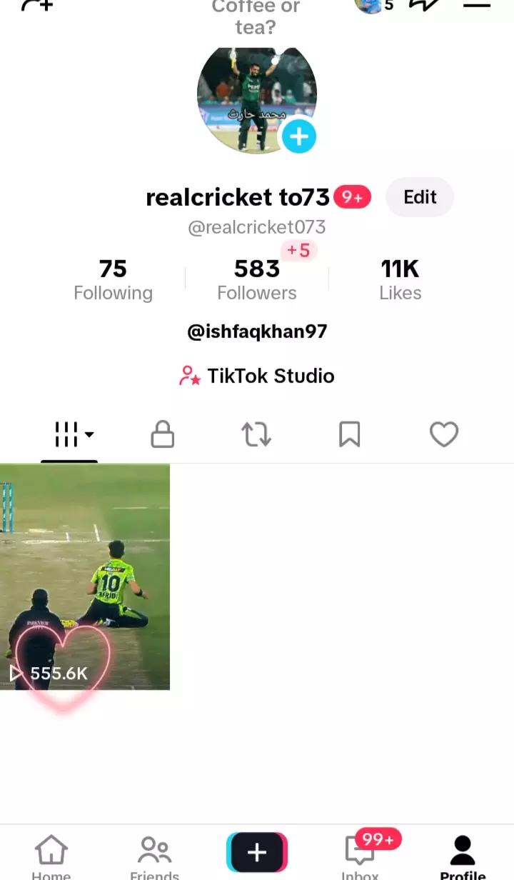 @realcricket to73