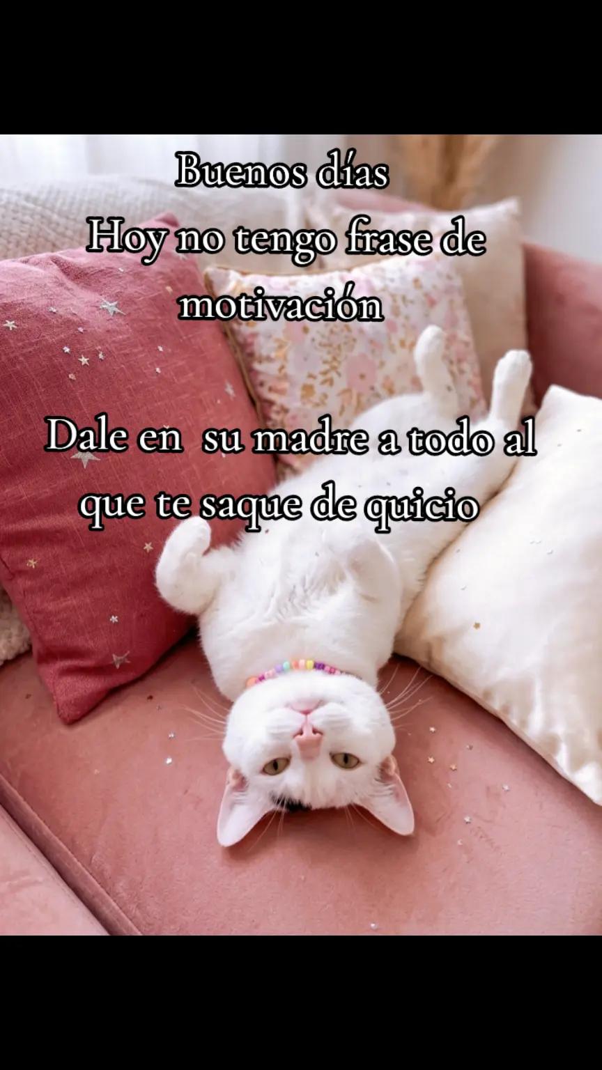 @Rowss Dawzon