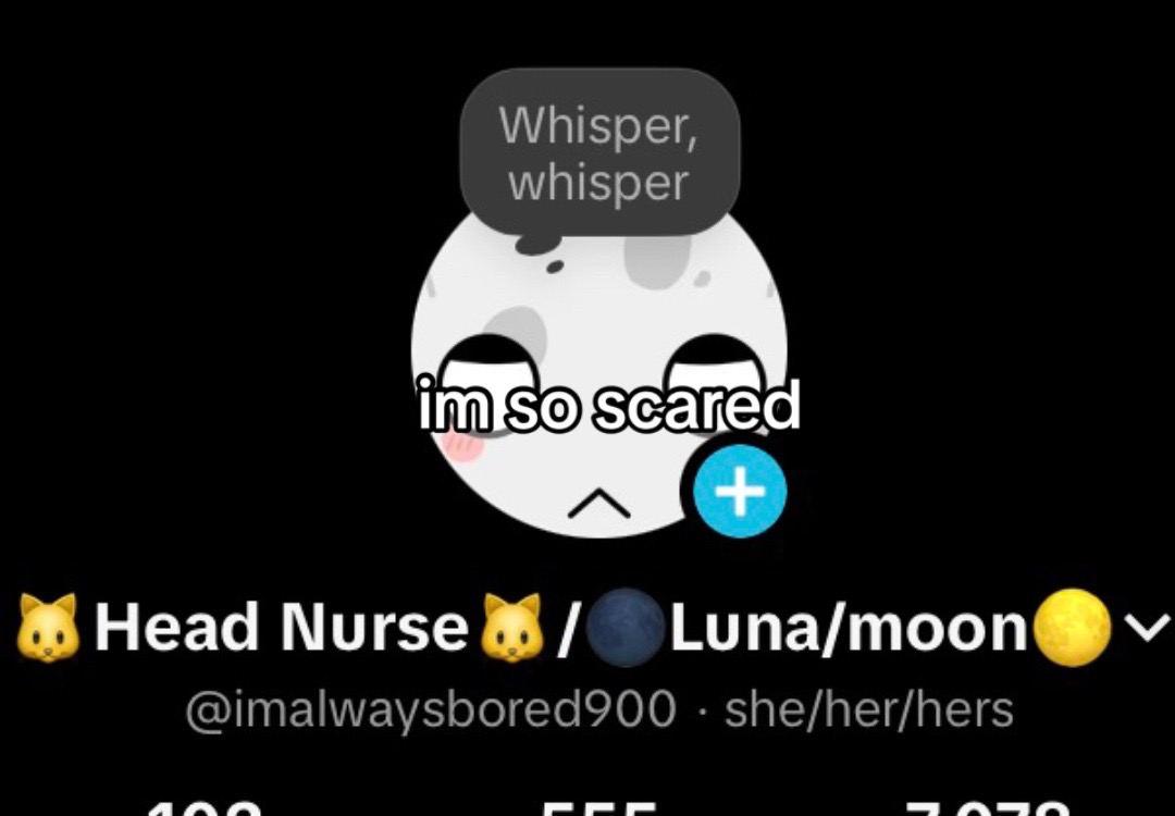 @🐱Head Nurse🐱/🌑Luna/moon🌕