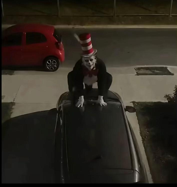 @cat in the hat😈