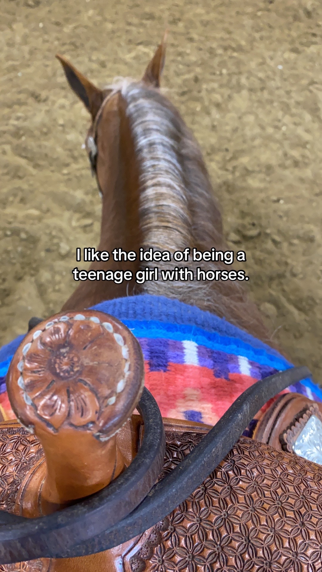 @bryndlekaye_horses